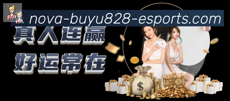 奖项证书